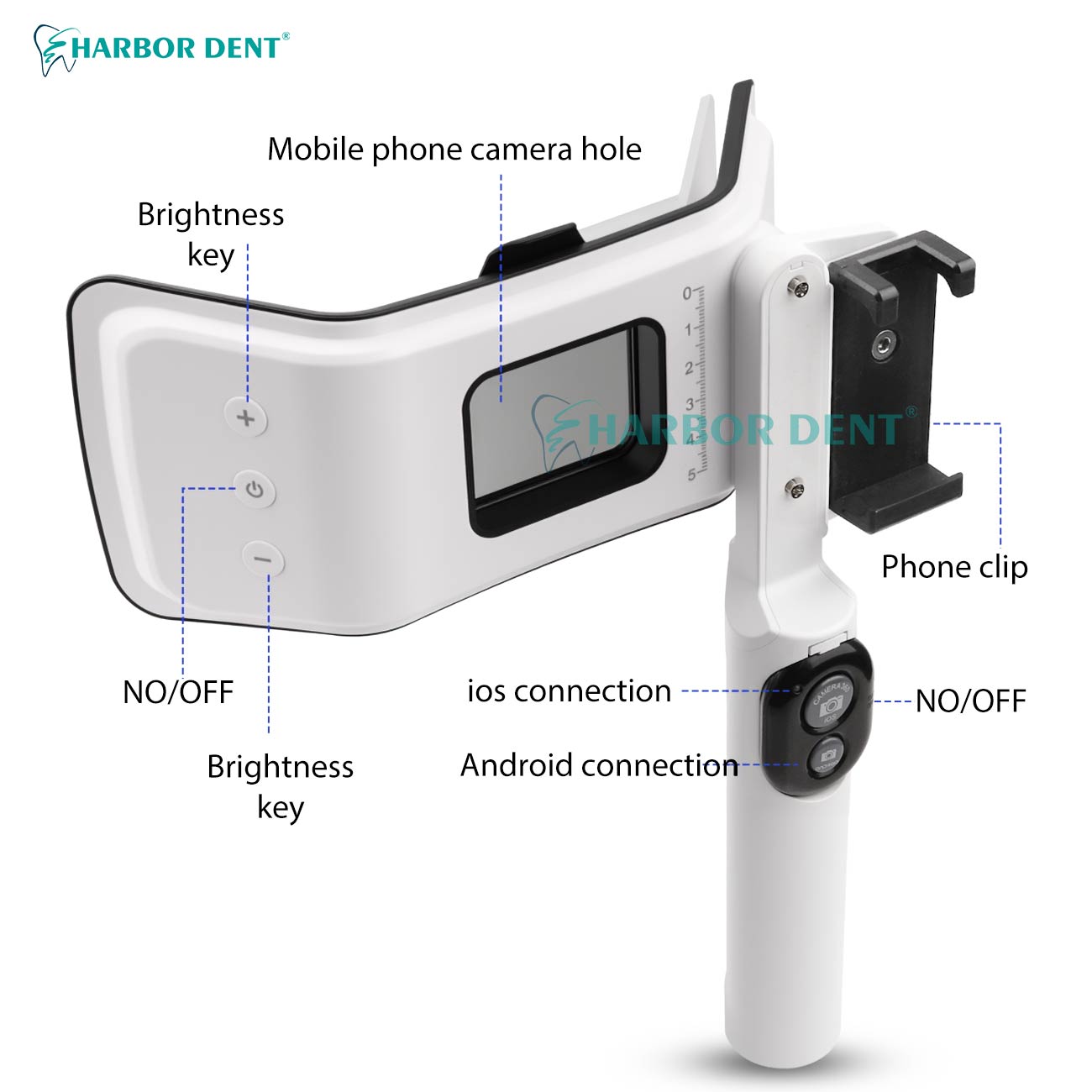 Фонарь для стоматологической ф – обзор и цена Photography Lighting Direction